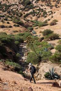 Oued Boussetar à Tafraoui