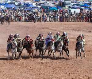 برنامج الوعادي لهدا الاسبوع من صفحة العلاوي و الفانتازيا