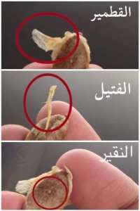 مصطلحات قرآنية :