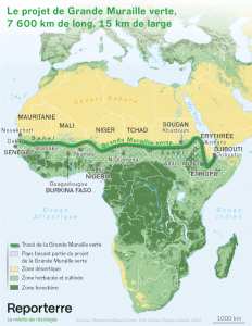Planète (Afrique) - Le projet de la Grande Muraille verte, 7.600 km de long, 15 km de large