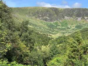 Planète (Ecosse/Europe) - Une vallée écossaise se transforme totalement grâce au réensauvagement