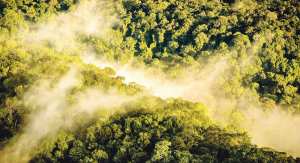 Planète (Amérique du Sud) - Les peuples autochtones d’Amazonie s’unissent pour sauver la dernière rivière volante