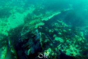 L'épave de Cretell et Cretecoal en Cap Rousseau, Oran