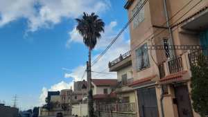 Quartier Kiffane  Les Dahlias  Tlemcen