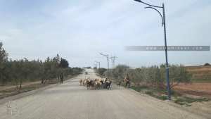 Route en cours de réalisation entre Ain Fettah et Fellaoucene