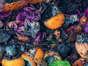 Planète - Compost: l'or gratuit du jardinier