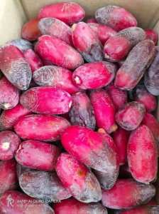 #الحمراية..💚🌴👌