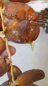 #دقلة_نور الجزائرية 💚