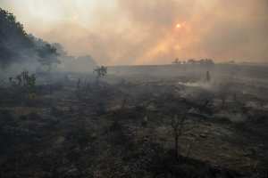Planète - Sécheresse et incendies, des régions s’embrasent