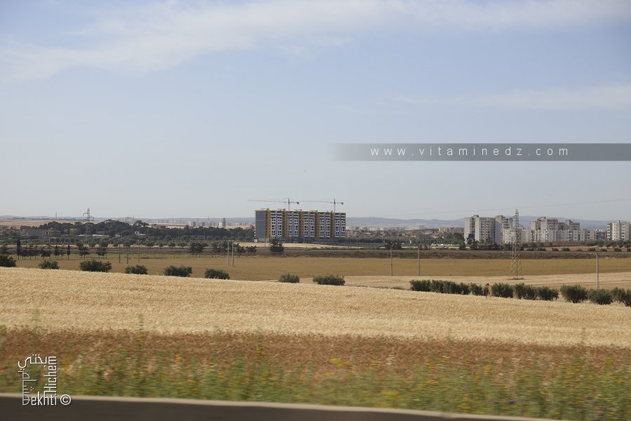 La ville de Sidi Belabbes entre modernité et tradition agricole