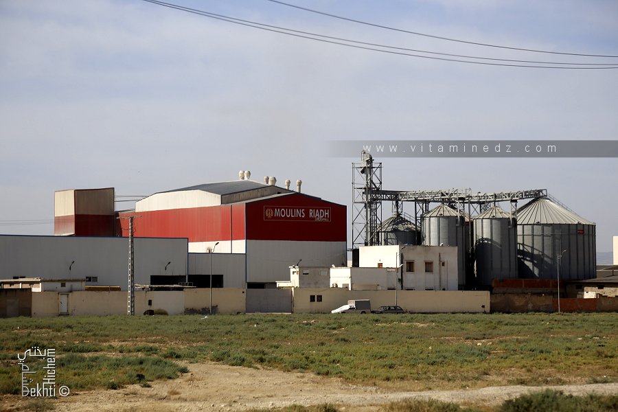Les Moulins Riadh à la zone industrielle de Relizane