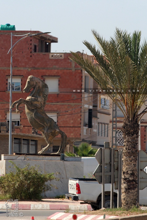 Le cheval, emblème de la wilaya de Relizane