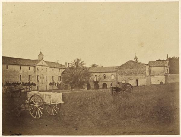 Établissement des trapistes, le palmier historique à Staoueli (Image de propagande coloniale)