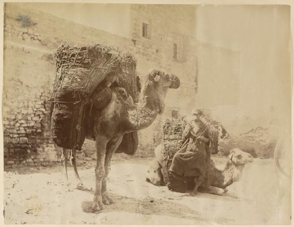 [Caravane] (Image de propagande coloniale)