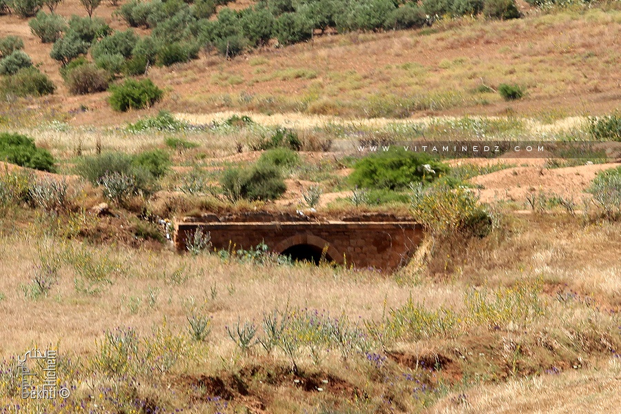 Un pont en pierre complètement abandonné du coté de Zemmoura