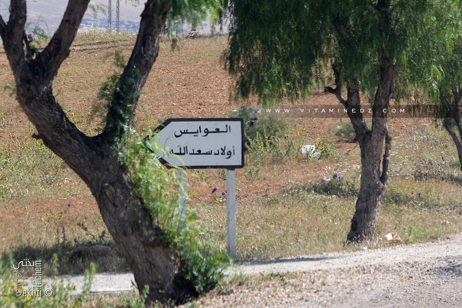 Douar El Aouayess et Ouled Sad Allah (Commune de Zemmora Relizane)