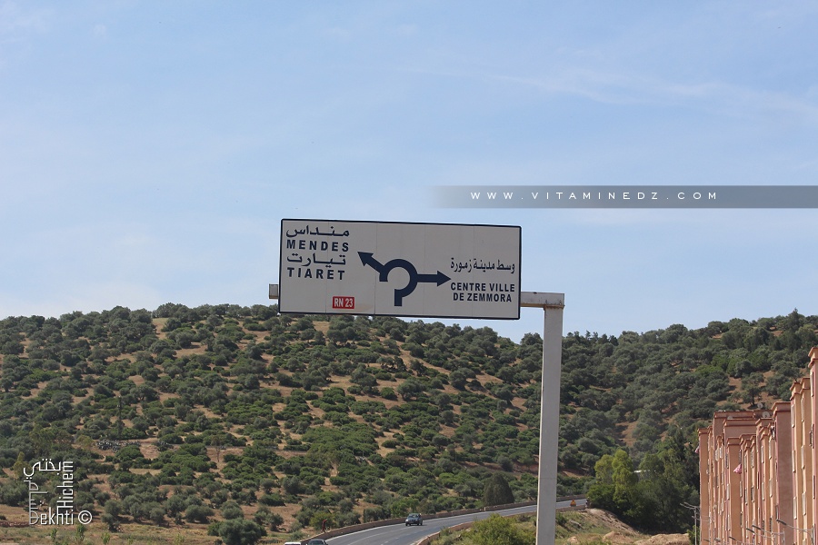 Fôret de Zemmoura (Relizane)