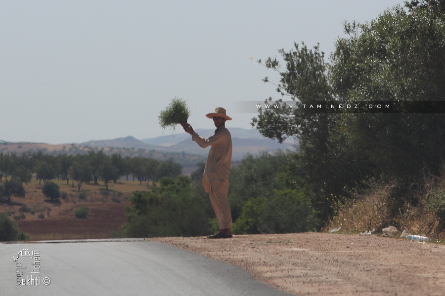 Nounkha en vente sur la route de Zemmoura
