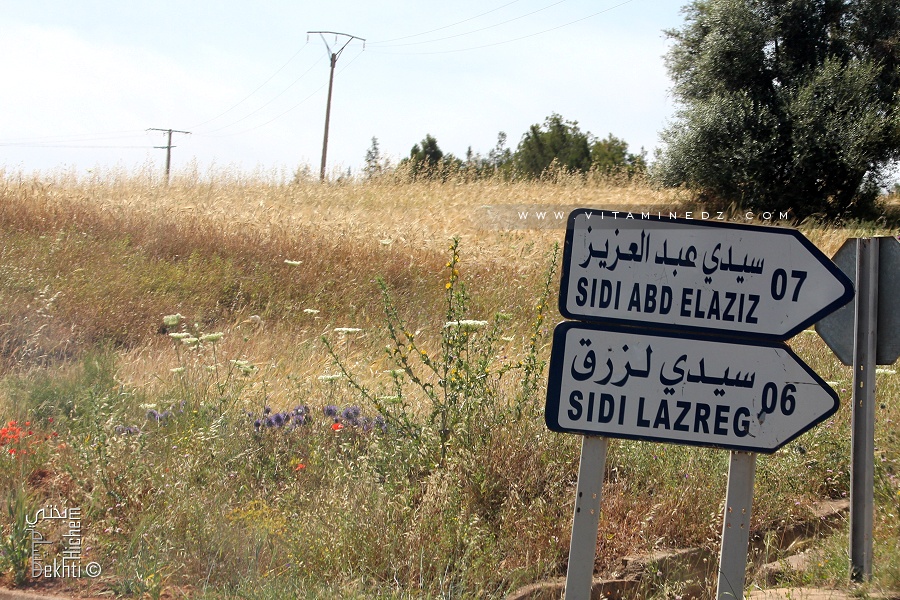 Douar de Sidi Abdelaziz