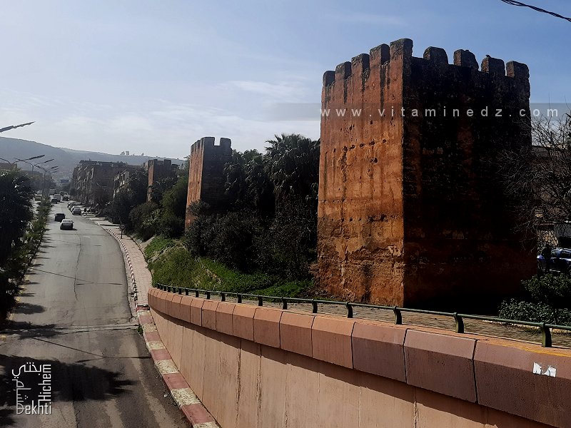 Enceintes et tours de la muraille ziyanide de Tlemcen