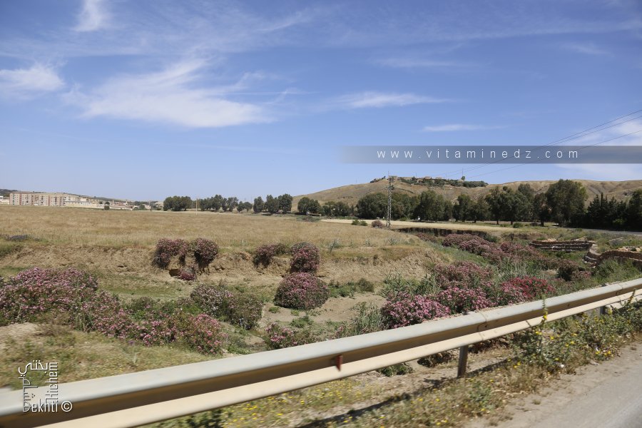 سيدي لزرق بلدية جزائرية تقع جنوب غرب ولاية غليزان