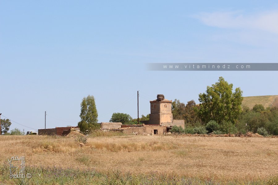 Ferme coloniale à El Allalia, Sidi Lazreg (Relizane)