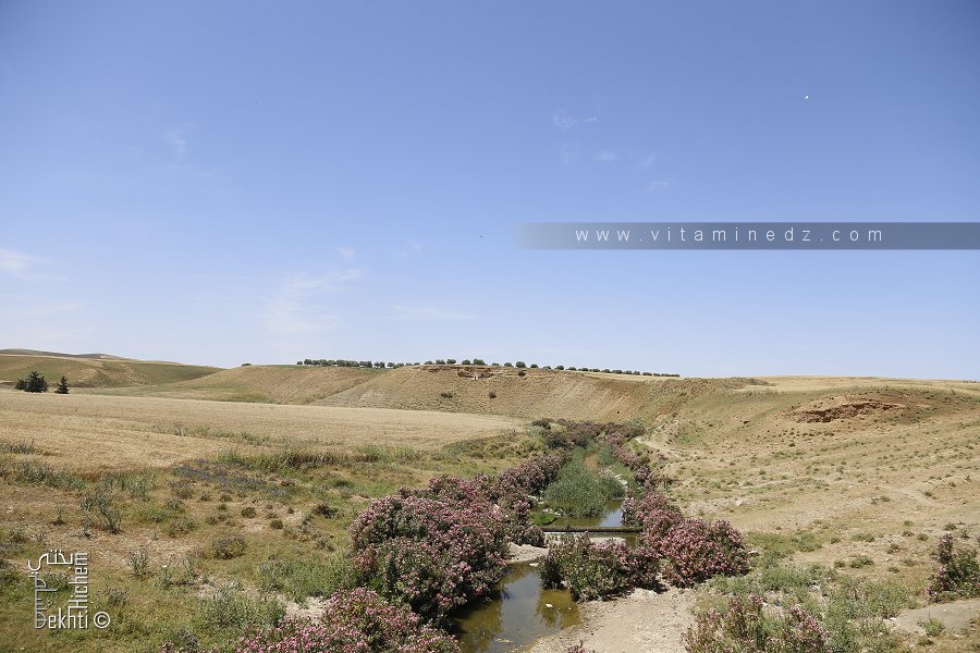 Oued Menesfa ou Menasfa (Mendes-Sidi Lazreg)
