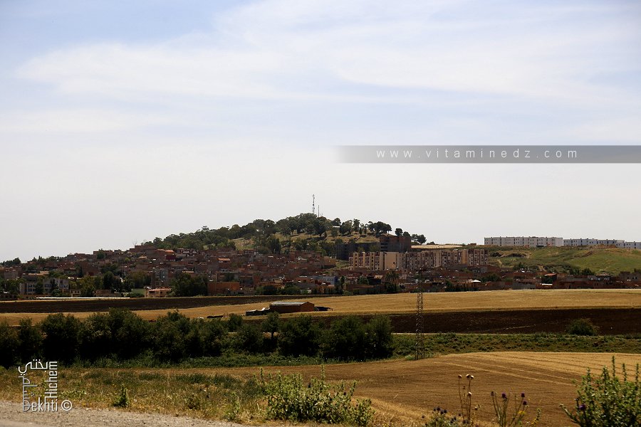 La ville de Rahouia (Tiaret)