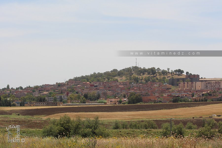 الرحوية ولاية تيارت