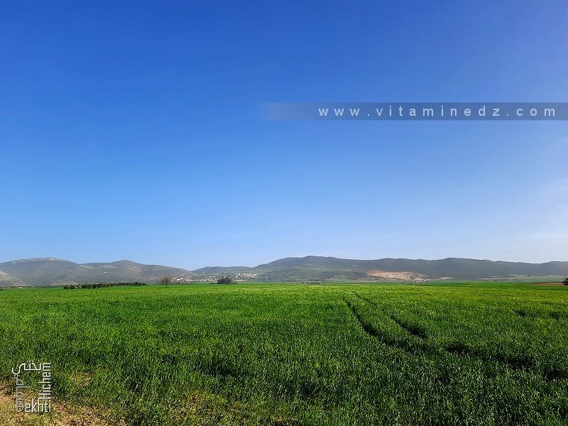 Tlemcen - Au pied d'Oum El Oulou (Allou)