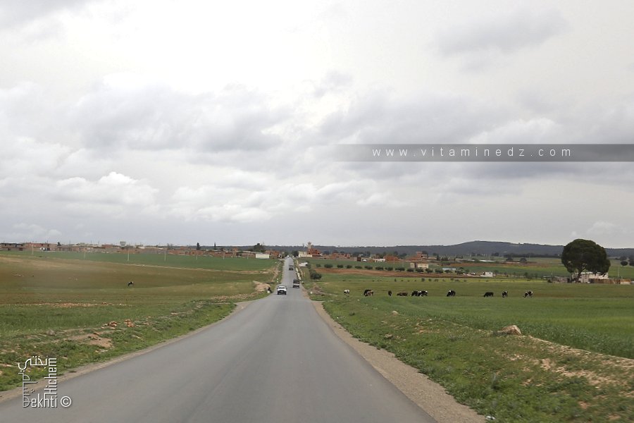 Douar Ben Dida (Boukhanefis)