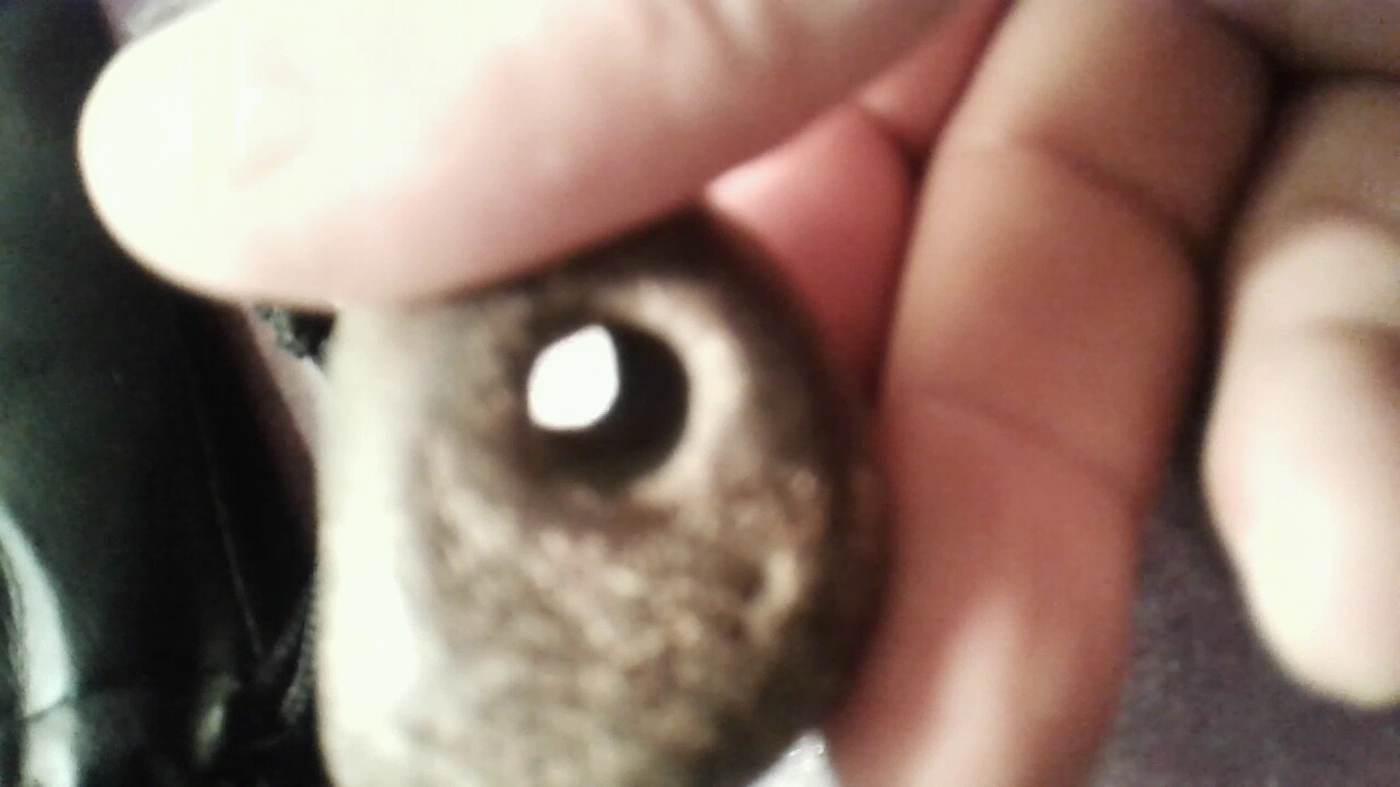 Pierre de silex trouée et gravée