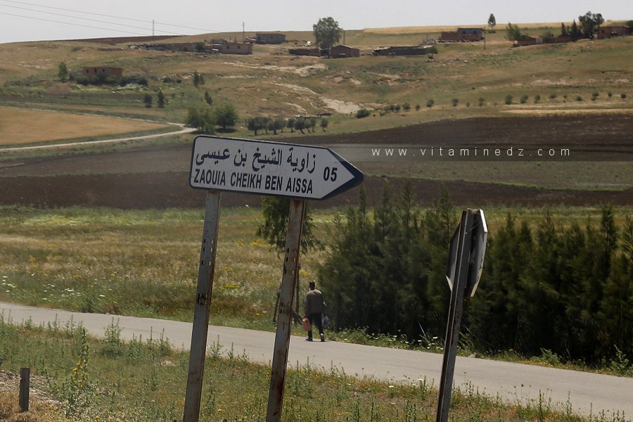 Zaouia Cheikh Ben Aissa (Tiaret)