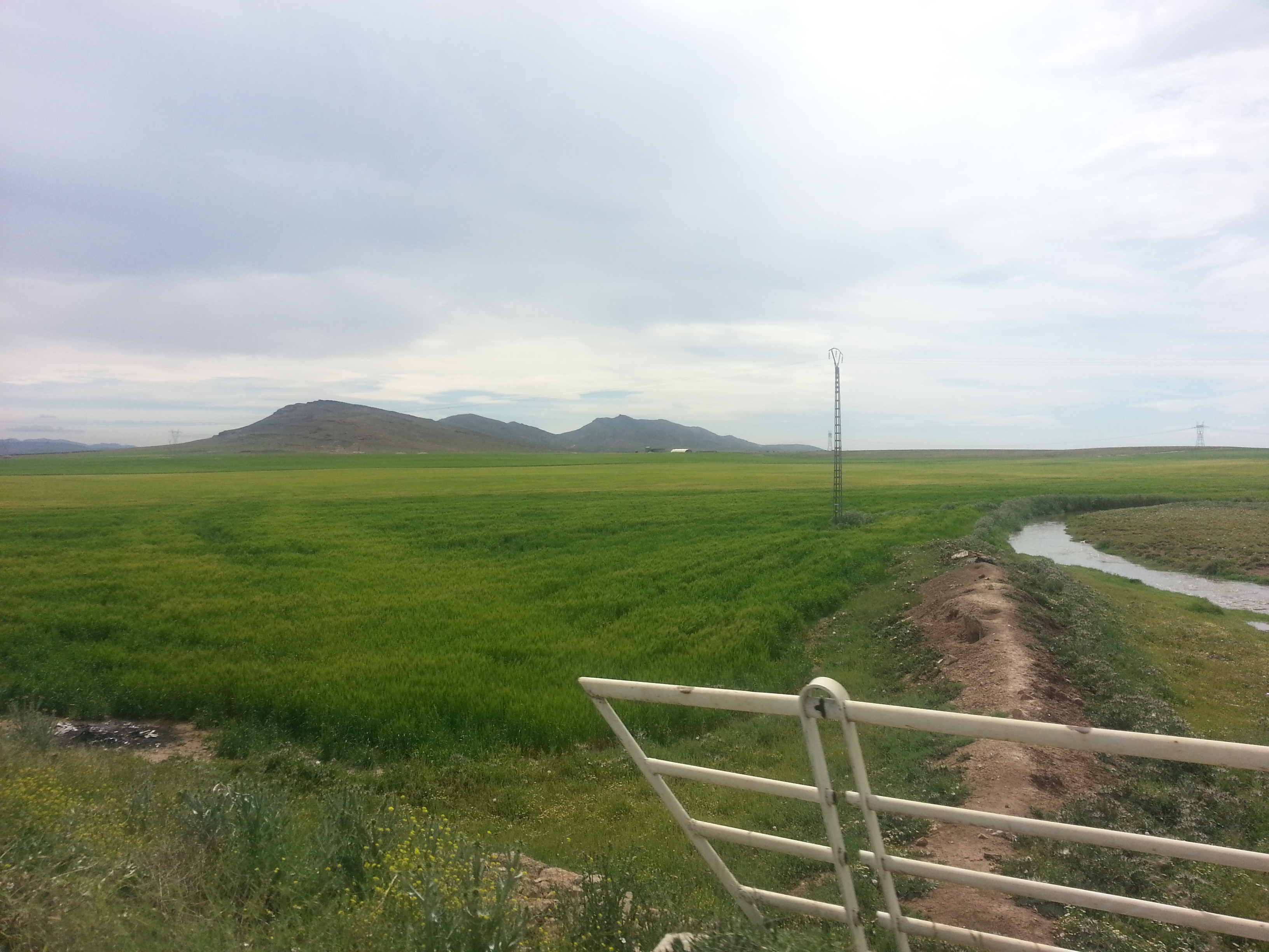 أولاد بوطارة من مظاهرالطبيعة