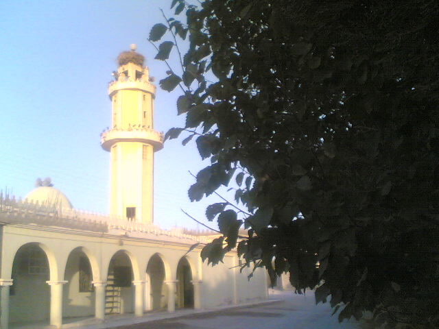 اولاد بوطارة الموقع الرسمي https://sites.google.com/view/ouled-boutara-site-officiel/