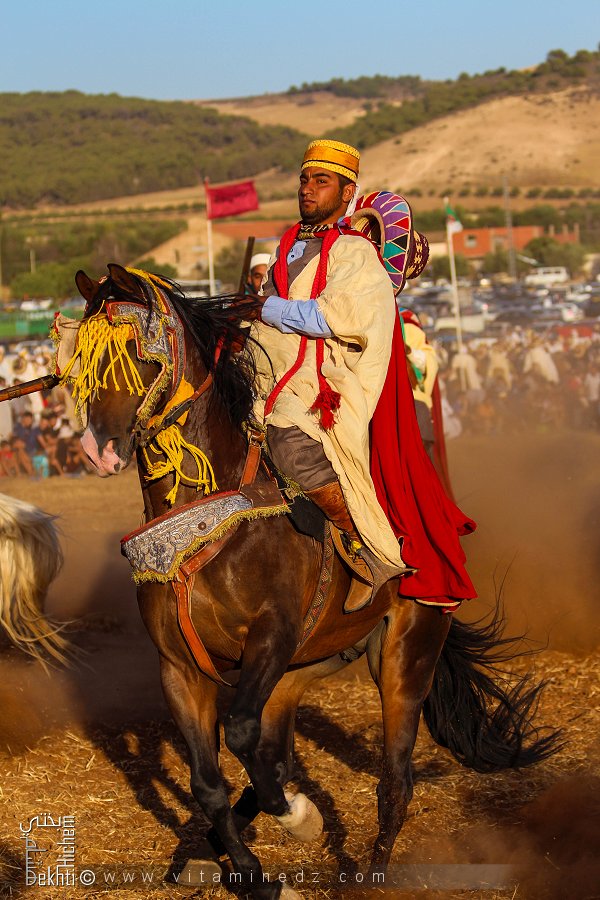 Cavalier avec cheval barde à la waada de Ain El Berd