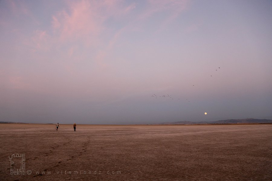 Grande Sebkha d'Oran