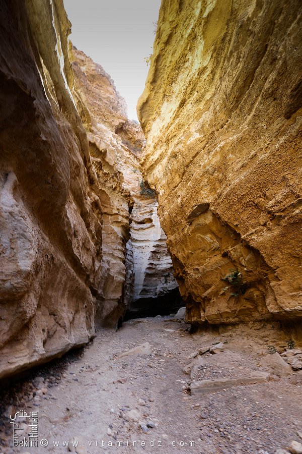 Canyon de Tafraoui merveilleuxbien caché au fois de Oued Bouster