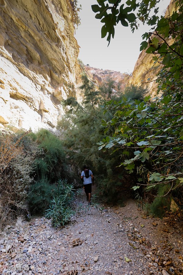 Oued Bouster à Tafraoui