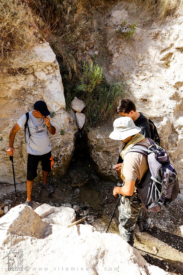 Une source d'eau sur le chemin du canyon de Tafraoui
