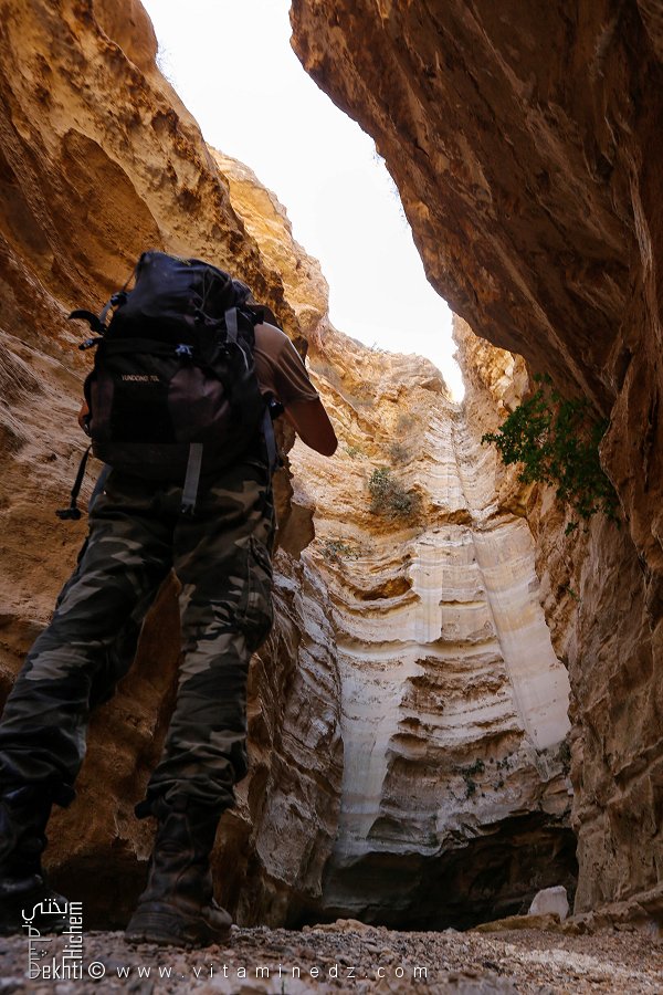 Merveilleux Canyon de Tafraoui