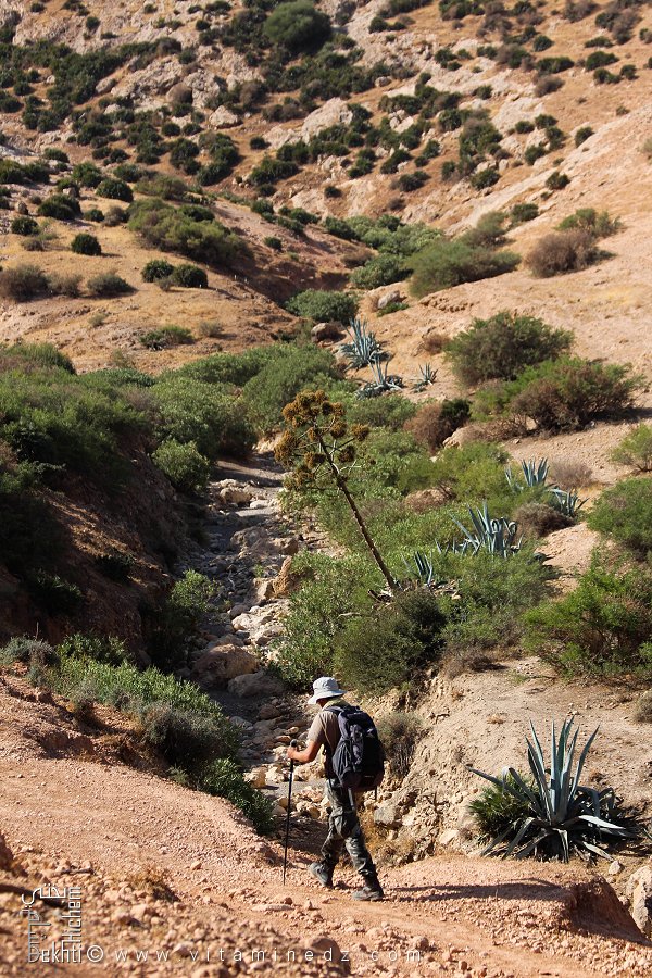 Oued Boussetar à Tafraoui