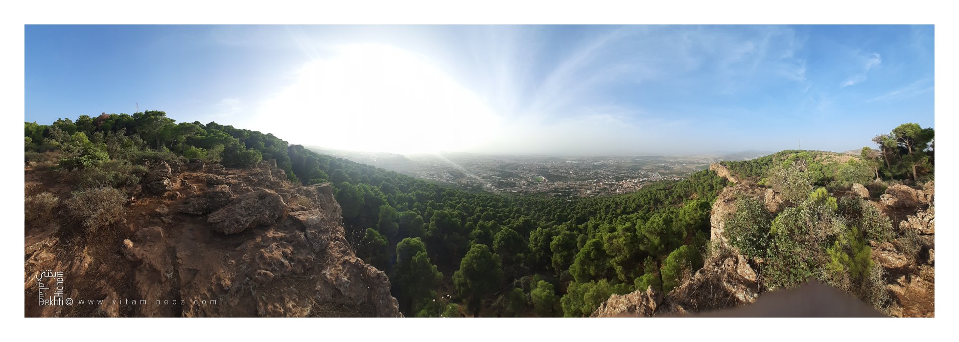 Forêt du petit perdreau (Tlemcen)