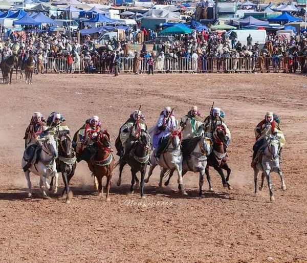 برنامج الوعادي لهدا الاسبوع من صفحة العلاوي و الفانتازيا