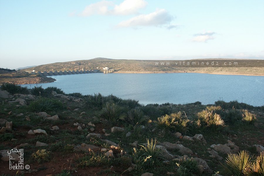 Barrage d'El Mefrouche en mai 2008