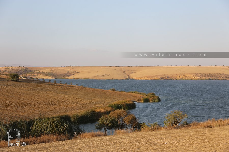Berges du barrages de Sikkak Tlemcen PATRIMOINE Barrage Sikak ou