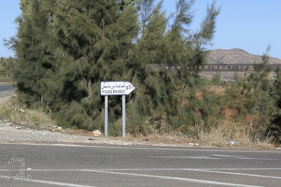 En Direction de Douar M'saada Ben Badis (Commune El Maleh)