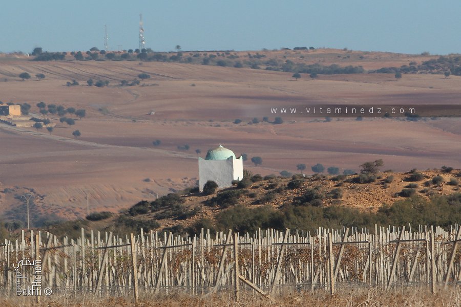 Koubba Sidi Aissa (Douar El Messaada, El Maleh)