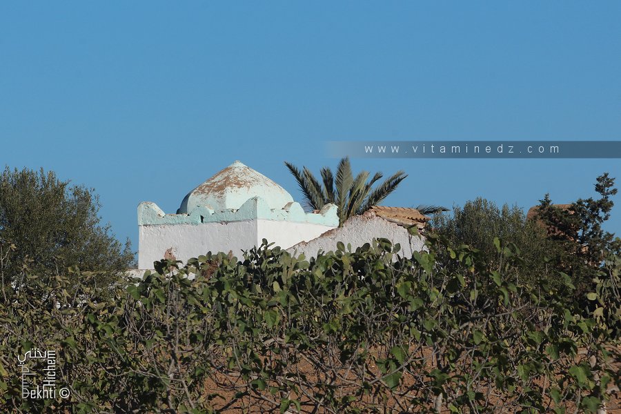 Mausolée Sidi Messaoud (El Maleh, Temouchent)