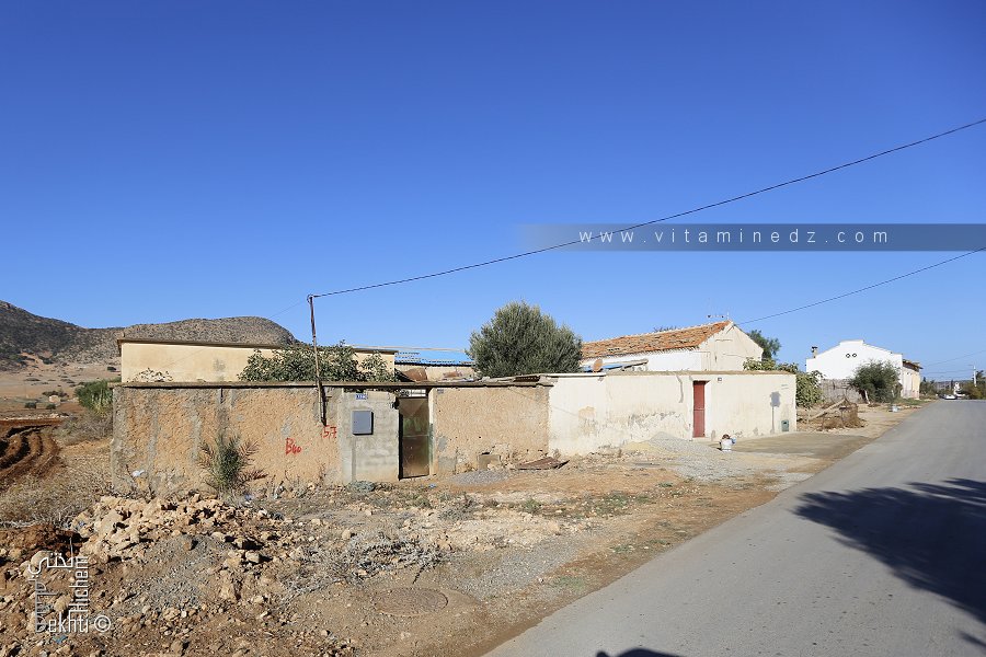 Maisons période coloniale - Entrée Douar El Msaada (El Maleh - Ain Temouchent)